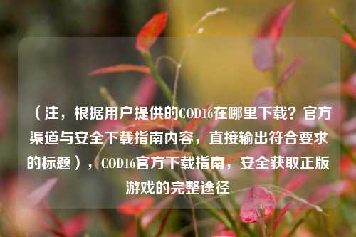（注，根据用户提供的COD16在哪里下载？官方渠道与安全下载指南内容，直接输出符合要求的标题），COD16官方下载指南，安全获取正版游戏的完整途径
