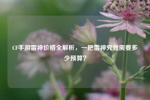 CF手游雷神价格全解析，一把雷神究竟需要多少预算？