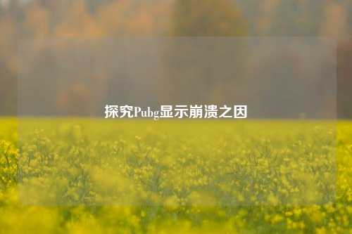 探究Pubg显示崩溃之因