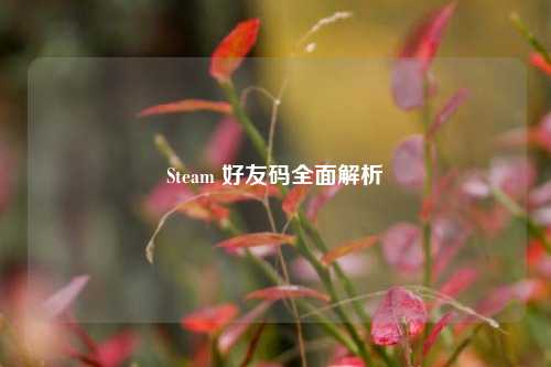 Steam 好友码全面解析
