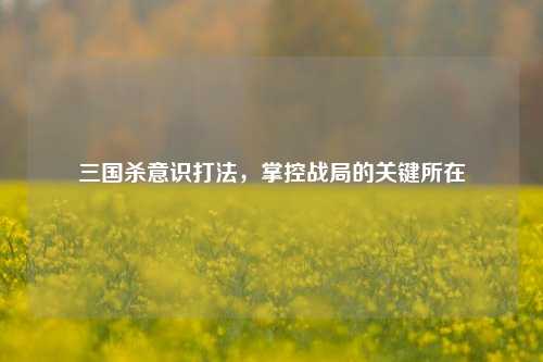 三国杀意识打法，掌控战局的关键所在