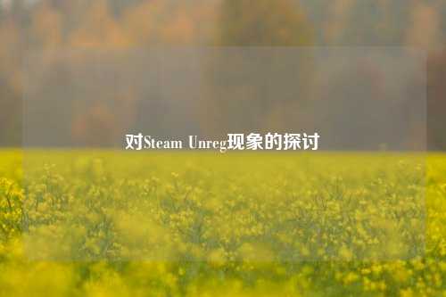 对Steam Unreg现象的探讨