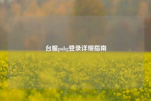 台服pubg登录详细指南