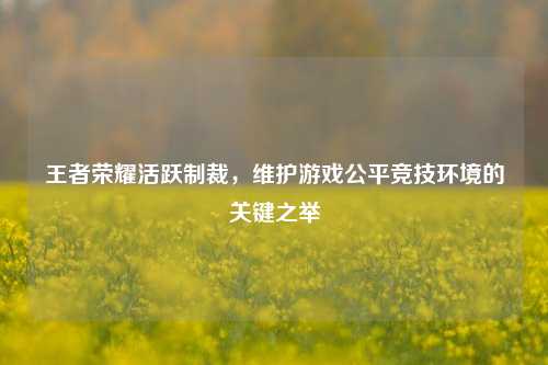王者荣耀活跃制裁，维护游戏公平竞技环境的关键之举