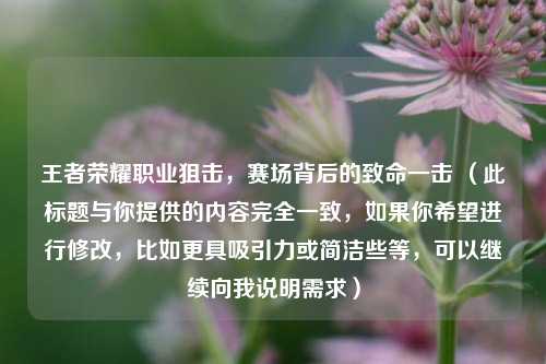 王者荣耀职业狙击,赛场背后的致命一击 (此标题与你提供的内容完全一致,如果你希望进行修改,比如更具吸引力或简洁些等,可以继续向我说明需求)