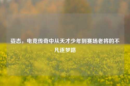 姿态，电竞传奇中从天才少年到赛场老将的不凡逐梦路