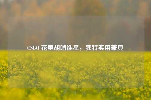 CSGO 花里胡哨准星，独特实用兼具