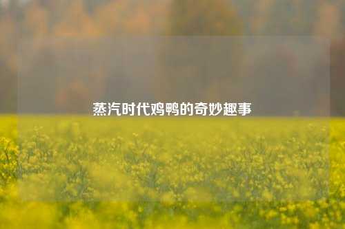 蒸汽时代鸡鸭的奇妙趣事