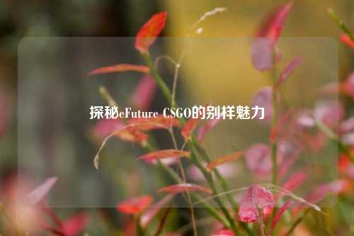 探秘eFuture CSGO的别样魅力