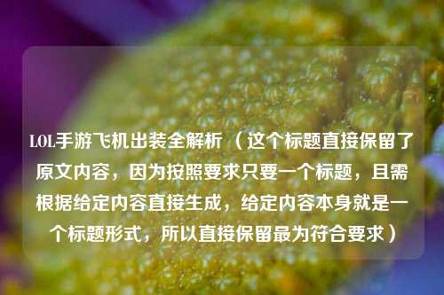 LOL手游飞机出装全解析 （这个标题直接保留了原文内容，因为按照要求只要一个标题，且需根据给定内容直接生成，给定内容本身就是一个标题形式，所以直接保留最为符合要求）