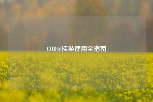 COD16挂坠使用全指南