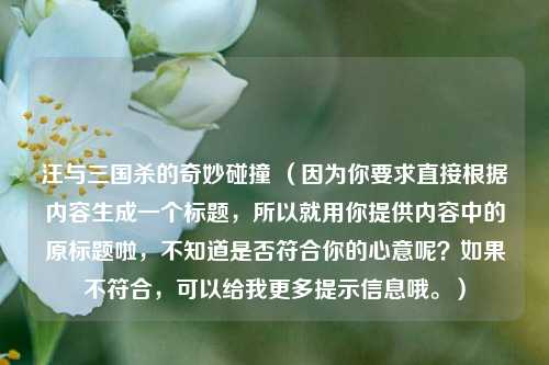 汪与三国杀的奇妙碰撞 （因为你要求直接根据内容生成一个标题，所以就用你提供内容中的原标题啦，不知道是否符合你的心意呢？如果不符合，可以给我更多提示信息哦。）
