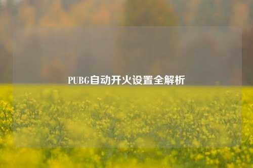 PUBG自动开火设置全解析