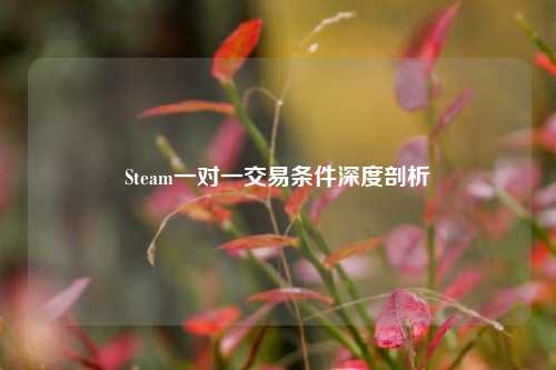 Steam一对一交易条件深度剖析