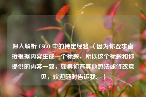 深入解析 CSGO 中的待定经验 （因为你要求直接根据内容生成一个标题，所以这个标题和你提供的内容一致，如果你有其他想法或修改意见，欢迎随时告诉我。）