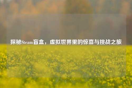探秘Steam盲盒，虚拟世界里的惊喜与挑战之旅