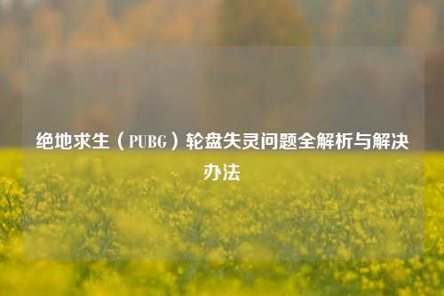 绝地求生（PUBG）轮盘失灵问题全解析与解决办法