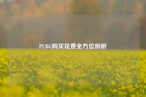 PUBG购买花费全方位剖析