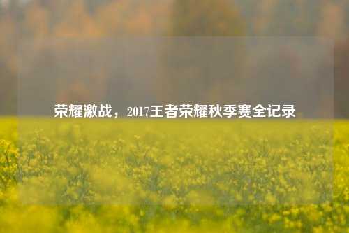 荣耀激战，2017王者荣耀秋季赛全记录