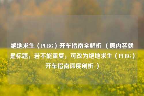 绝地求生（PUBG）开车指南全解析 （原内容就是标题，若不能重复，可改为绝地求生（PUBG）开车指南深度剖析 ）