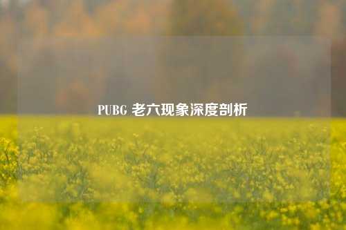 PUBG 老六现象深度剖析