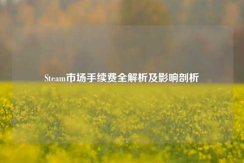 Steam市场手续费全解析及影响剖析
