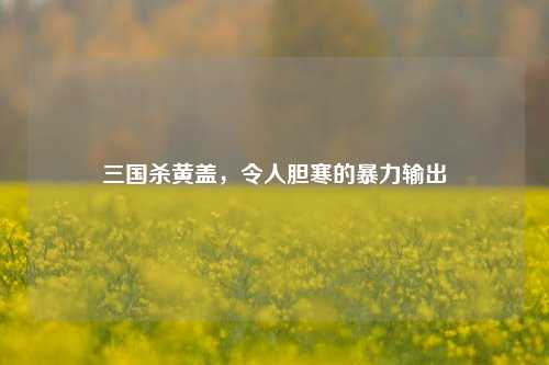 三国杀黄盖，令人胆寒的暴力输出