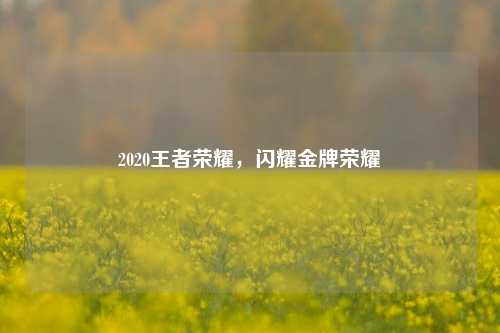 2020王者荣耀，闪耀金牌荣耀