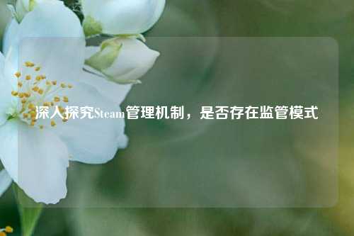 深入探究Steam管理机制，是否存在监管模式