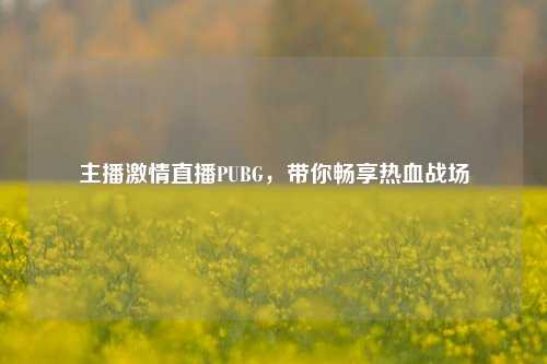 主播***直播PUBG，带你畅享热血战场