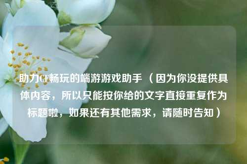 助力CF畅玩的端游游戏助手 （因为你没提供具体内容，所以只能按你给的文字直接重复作为标题啦，如果还有其他需求，请随时告知）