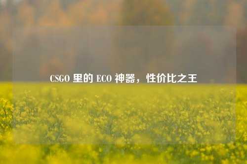 CSGO 里的 ECO 神器,性价比之王