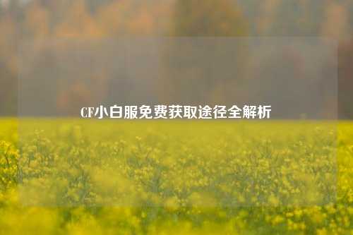 CF小白服免费获取途径全解析