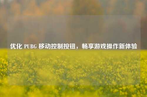 优化 PUBG 移动控制按钮,畅享游戏操作新体验