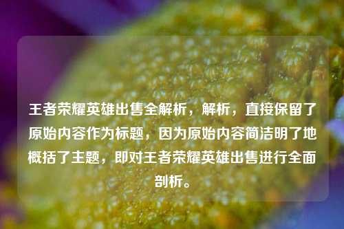 王者荣耀英雄出售全解析，解析，直接保留了原始内容作为标题，因为原始内容简洁明了地概括了主题，即对王者荣耀英雄出售进行全面剖析。