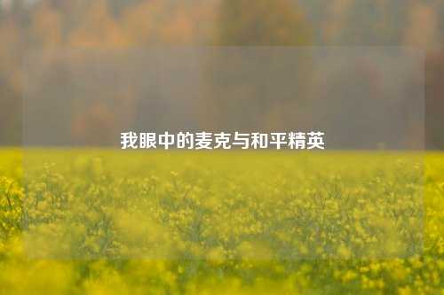 我眼中的麦克与和平精英