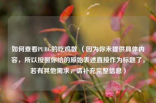 如何查看PUBG的吃鸡数 (因为你未提供具体内容,所以按照你给的原始表述直接作为标题了,若有其他需求,请补充完整信息)