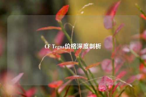 CF Tegna价格深度剖析