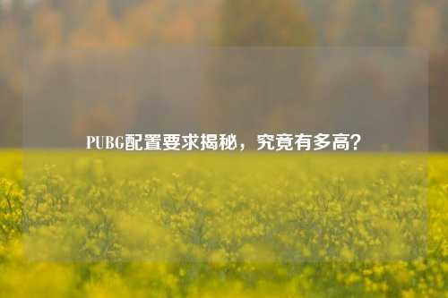 PUBG配置要求揭秘,究竟有多高?