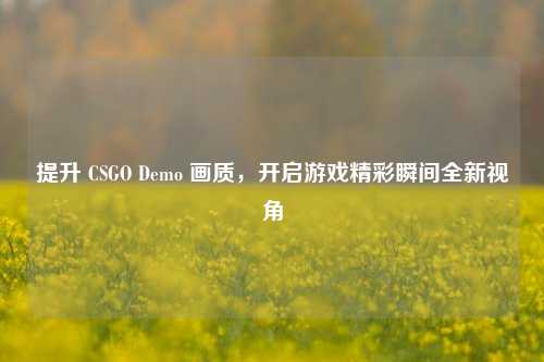 提升 CSGO Demo 画质,开启游戏精彩瞬间全新视角