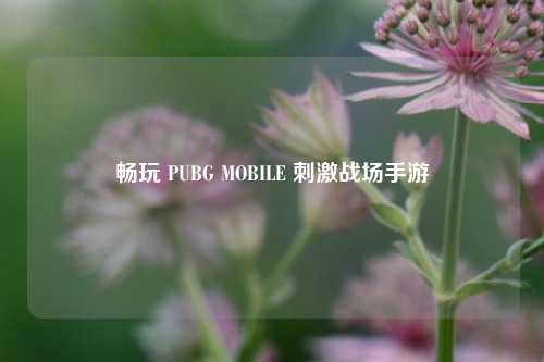 畅玩 PUBG MOBILE ***战场手游