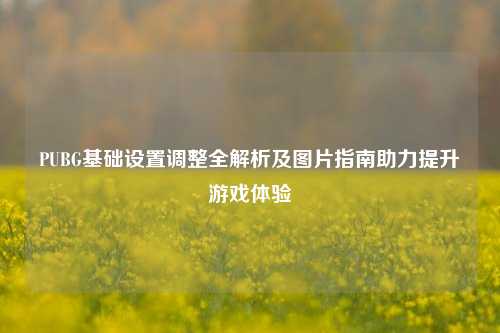 PUBG基础设置调整全解析及图片指南助力提升游戏体验