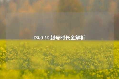CSGO 5E 封号时长全解析