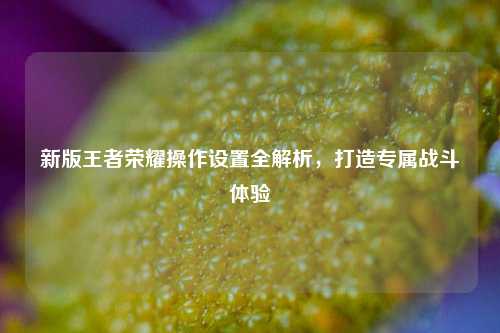 新版王者荣耀操作设置全解析，打造专属战斗体验