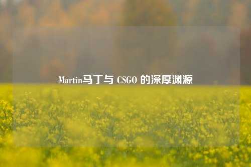 Martin马丁与 CSGO 的深厚渊源