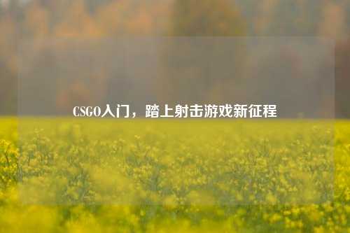 CSGO入门,踏上射击游戏新征程