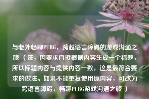 与老外畅聊PUBG，跨越语言障碍的游戏沟通之旅 （注，因要求直接根据内容生成一个标题，所以标题内容与提供内容一致，这是更符合要求的做法。如果不能重复使用原内容，可改为跨语言障碍，畅聊PUBG游戏沟通之旅 ）