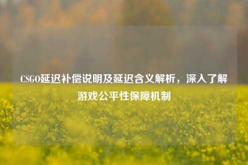 CSGO延迟补偿说明及延迟含义解析，深入了解游戏公平性保障机制