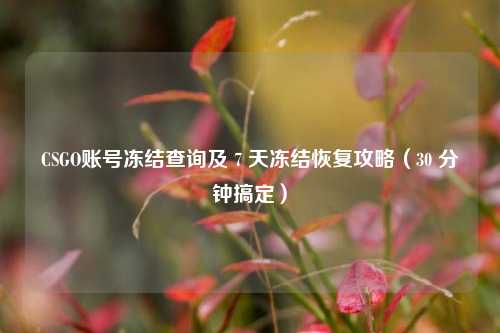 CSGO账号冻结查询及 7 天冻结恢复攻略(30 分钟搞定)