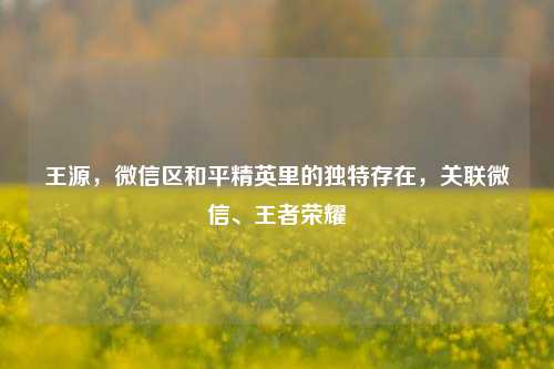 王源，微信区和平精英里的独特存在，关联微信、王者荣耀